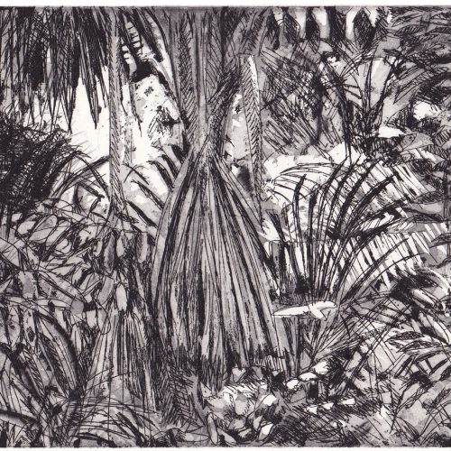 Forêt amazonienne - Eau-forte sur cuivre - Image 1