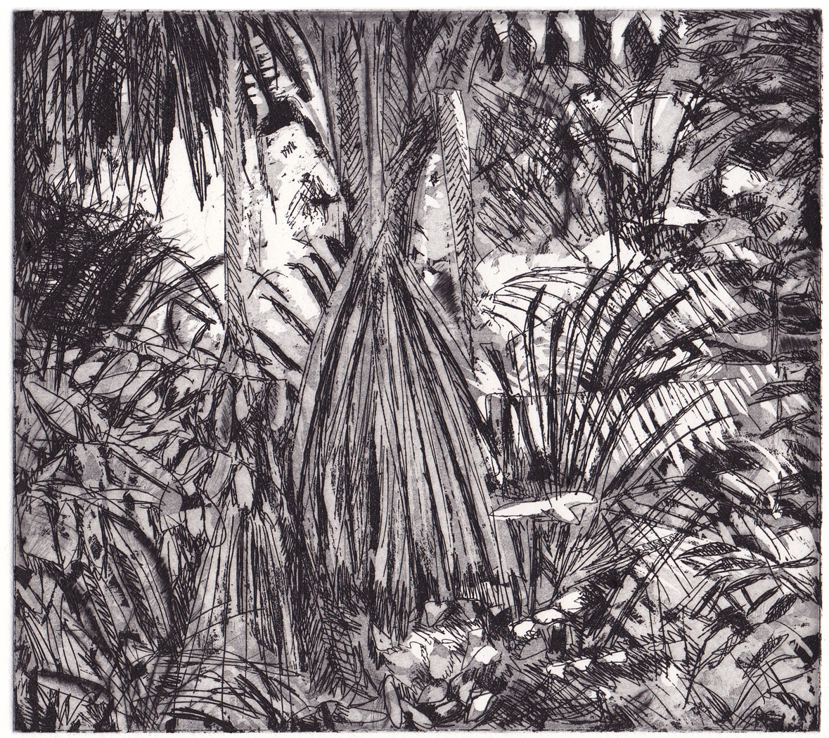 Forêt amazonienne - Eau-forte sur cuivre - Image 1