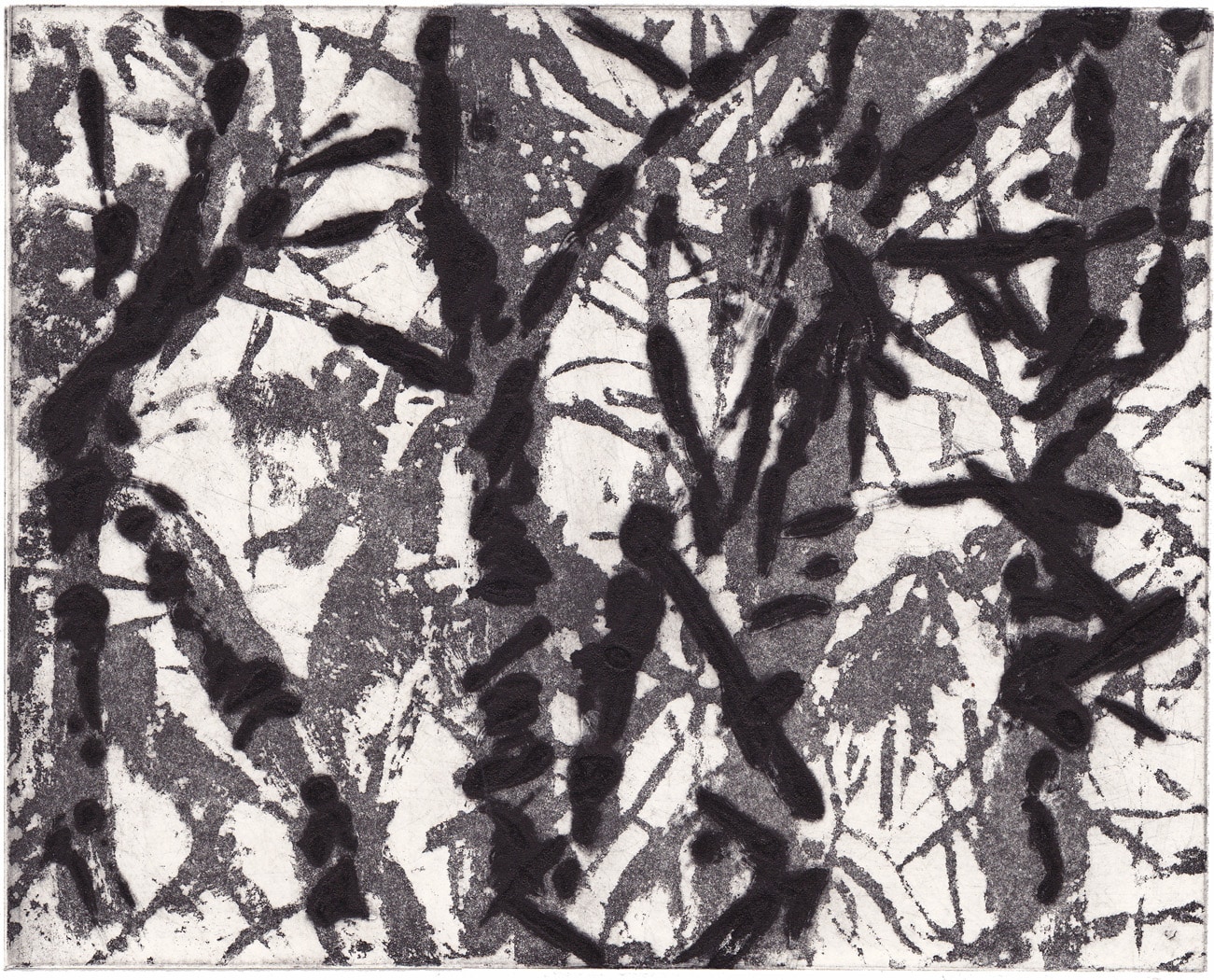 VEGETAL / MINERAL
