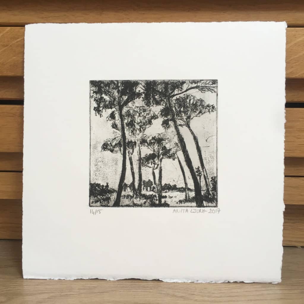 Pins parasol - Eau-forte sur cuivre
